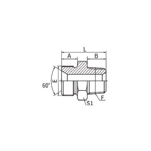 Antepara de assento BSP macho 60°